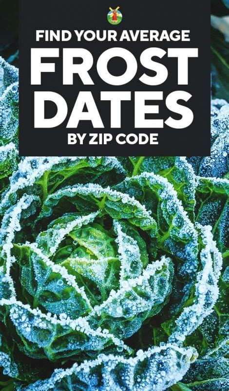 frost free days by zip code